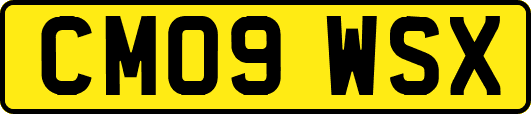 CM09WSX
