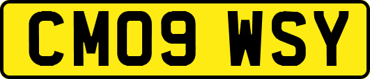 CM09WSY