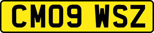 CM09WSZ