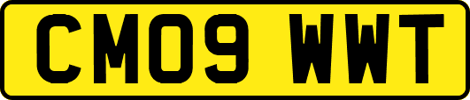 CM09WWT