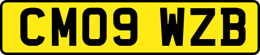 CM09WZB
