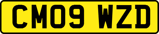 CM09WZD