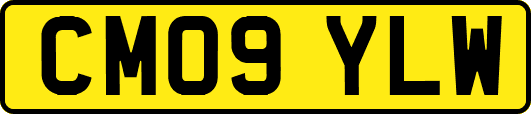 CM09YLW