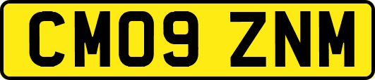 CM09ZNM