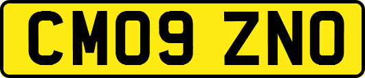 CM09ZNO