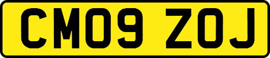 CM09ZOJ