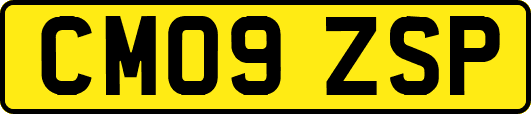 CM09ZSP