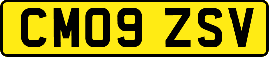 CM09ZSV
