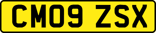 CM09ZSX