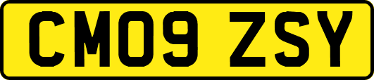 CM09ZSY