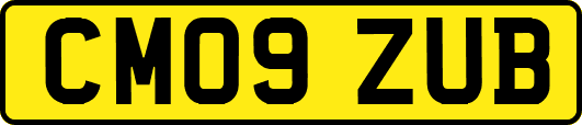 CM09ZUB