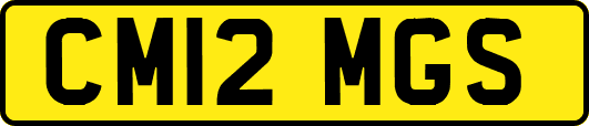 CM12MGS