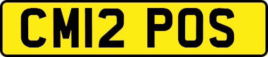 CM12POS
