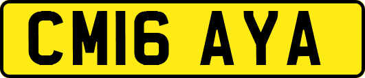 CM16AYA