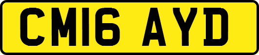 CM16AYD