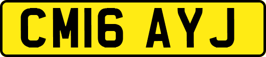 CM16AYJ