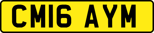 CM16AYM
