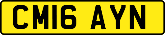 CM16AYN