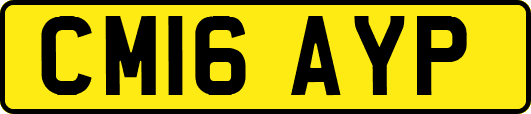 CM16AYP