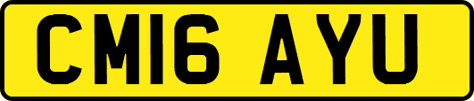 CM16AYU