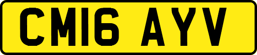 CM16AYV