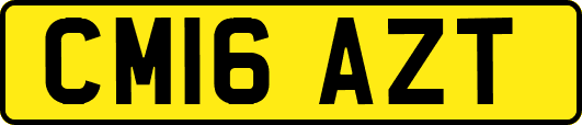 CM16AZT