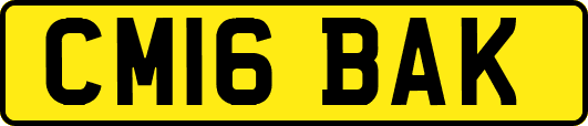 CM16BAK