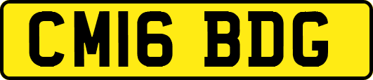 CM16BDG
