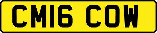 CM16COW