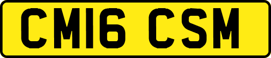 CM16CSM