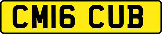 CM16CUB