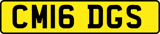 CM16DGS