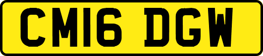 CM16DGW