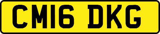 CM16DKG