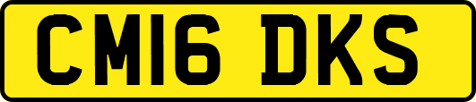 CM16DKS