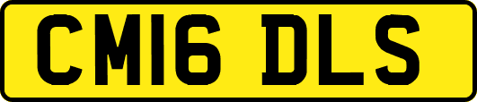 CM16DLS