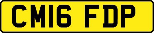 CM16FDP