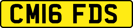 CM16FDS