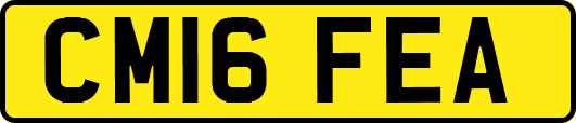 CM16FEA