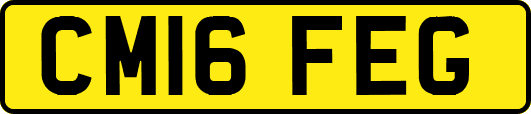 CM16FEG