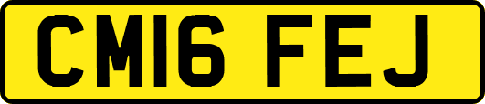 CM16FEJ