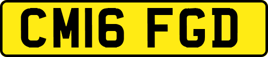CM16FGD