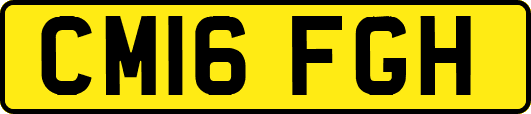CM16FGH