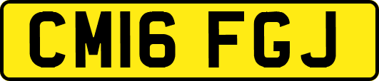 CM16FGJ