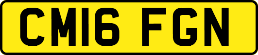 CM16FGN