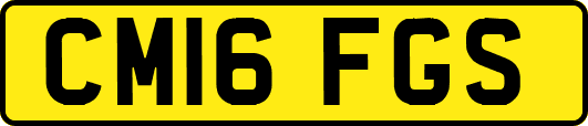CM16FGS