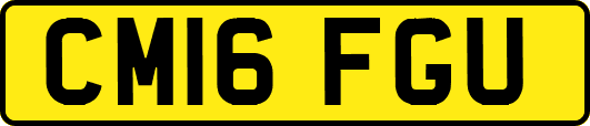 CM16FGU
