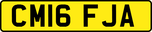 CM16FJA