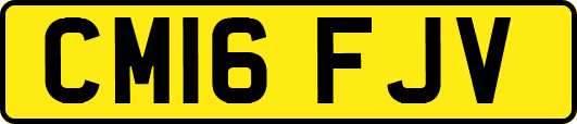 CM16FJV