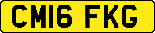 CM16FKG